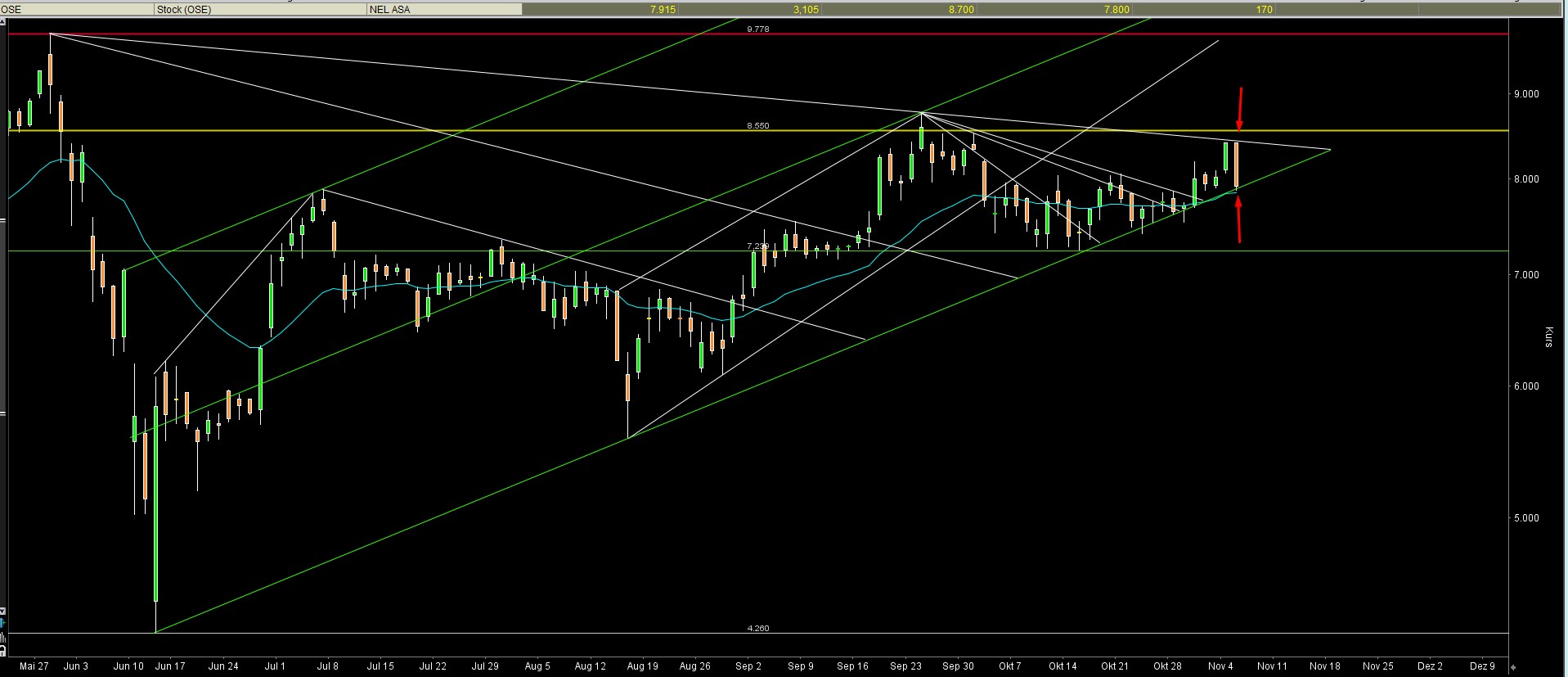 NEL, der Wasserstoffplayer aus Norwegen 1142850