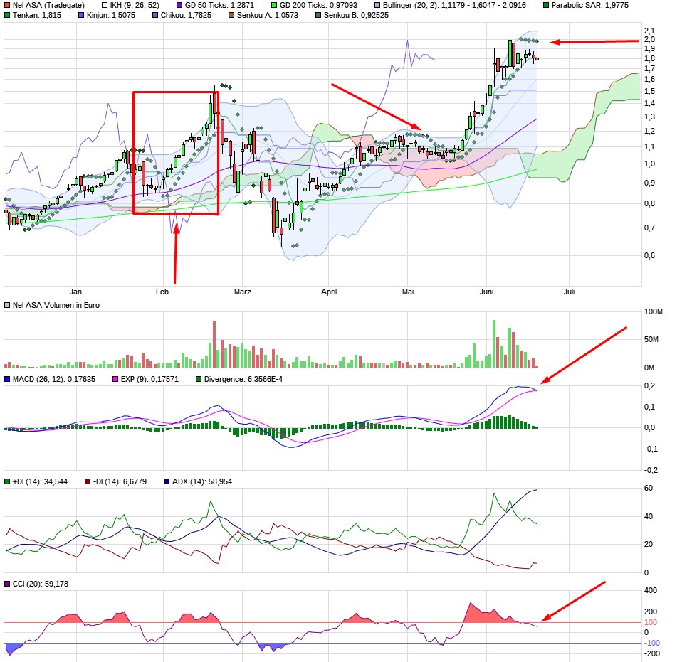 NEL, der Wasserstoffplayer aus Norwegen 1185843