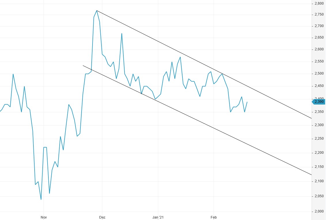 PAION Eine Fledermaus lernt wieder fliegen 1234248