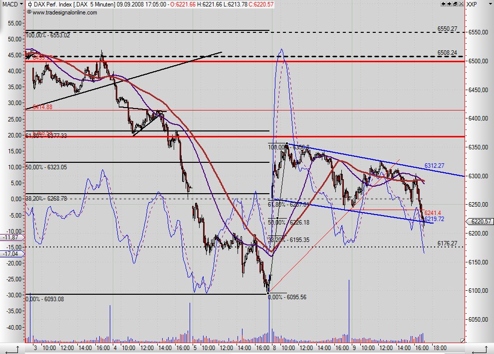 Die Bullen scharren gar nicht mit den Hufen, 185148