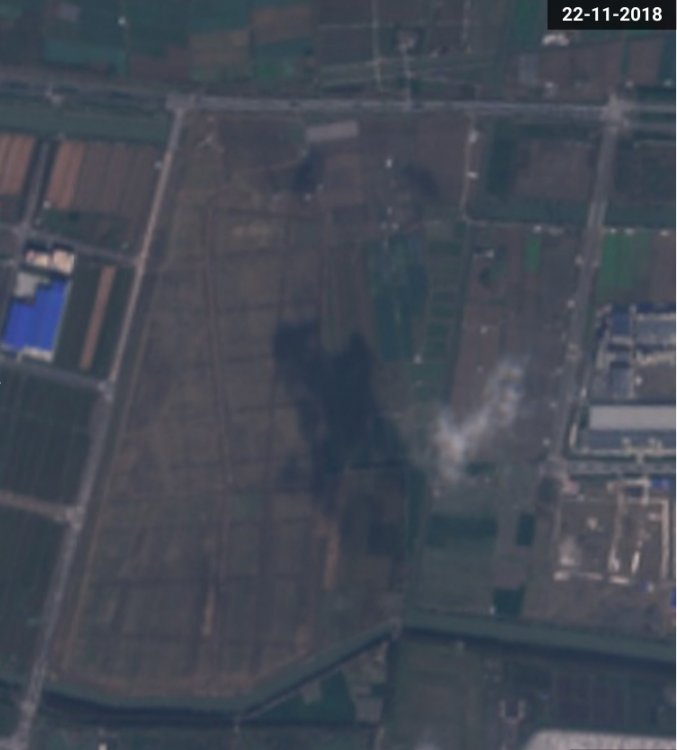 Auto- und Batterien-Herstellers BYD 1086665