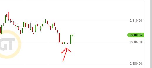 Der USA Bären-Thread 1176124