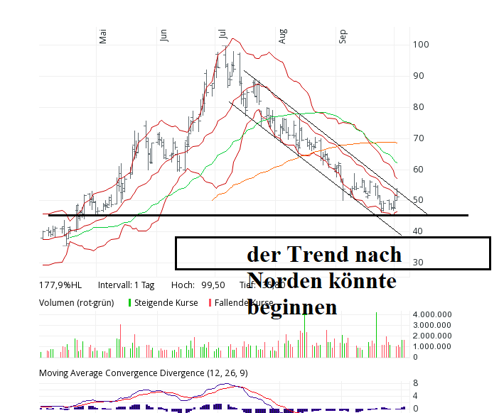 Schrodinger Inc - Einhorn oder Rohrkrepierer? 1204738