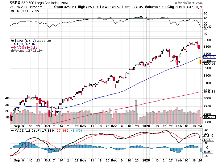 Der USA Bären-Thread 1161927
