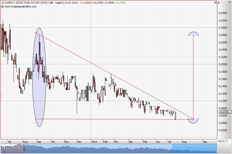 SDSS - Die Zukunft der ... 333888