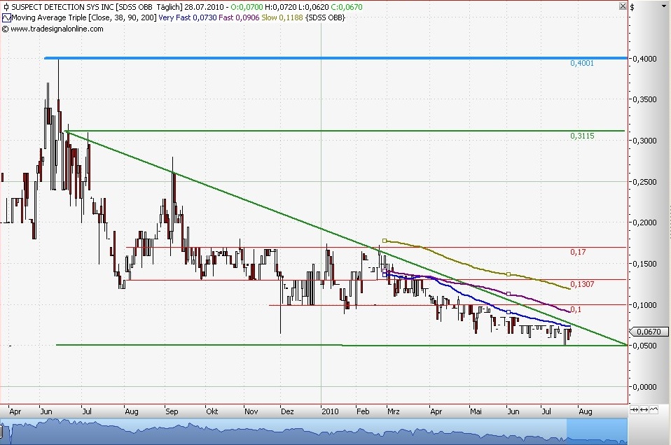 SDSS - Die Zukunft der ... 334670