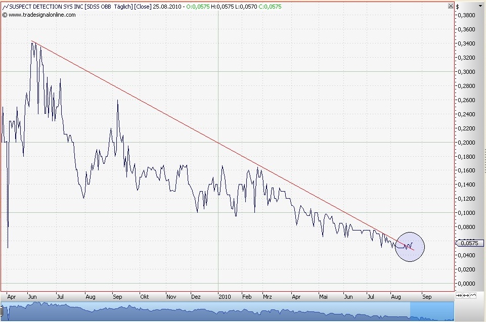 SDSS - Die Zukunft der ... 340549