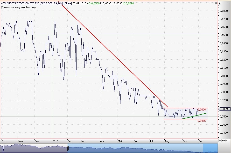 SDSS - Die Zukunft der ... 348872