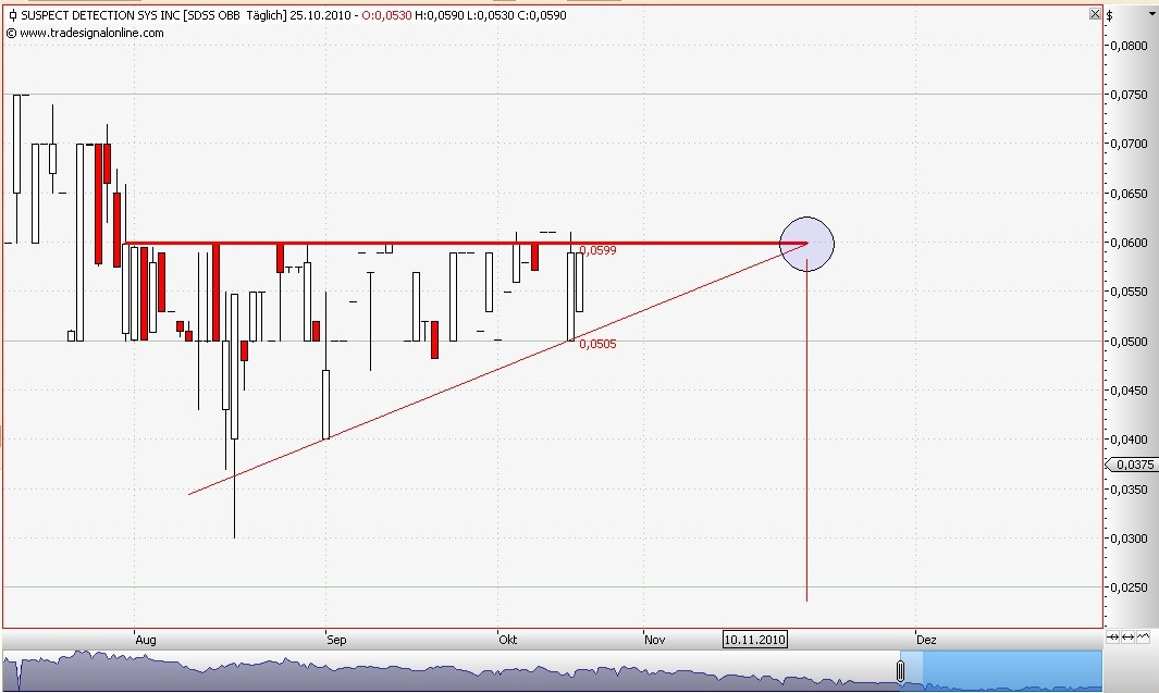 SDSS - Die Zukunft der ... 353781