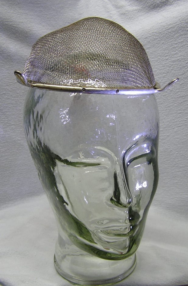 SDSS - Die Zukunft der ... 410160