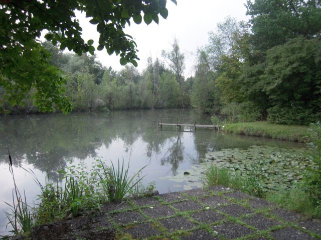 Thomas Cook (A0MR3W) - Rebound nach Kurssturz? 617495