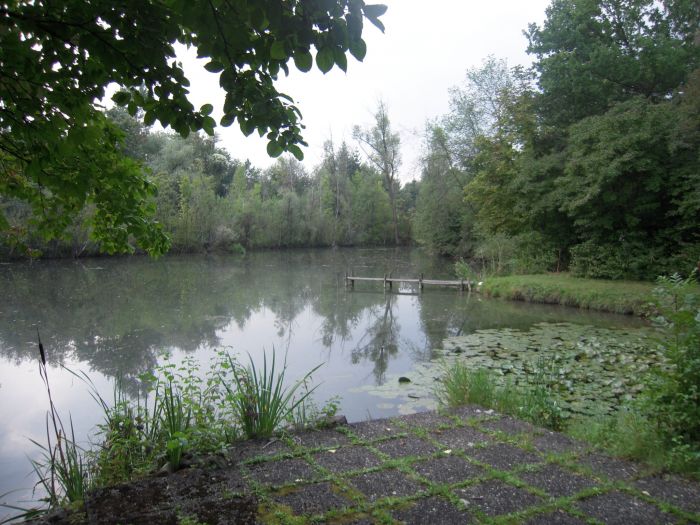 Thomas Cook (A0MR3W) - Rebound nach Kurssturz? 676502