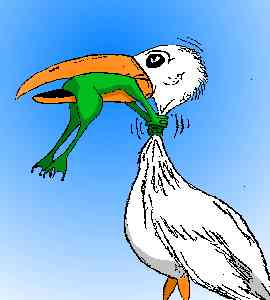 Norde Pro und Kontra 502351