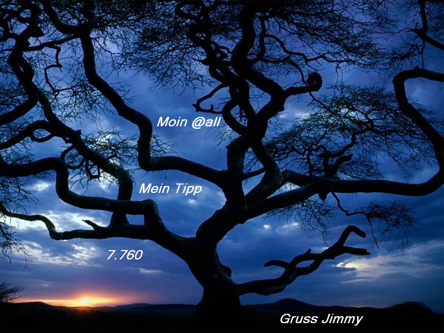 662.DAX Tipp-Spiel, Mittwoch, 14.11.07, 17.45 Uhr, 131270