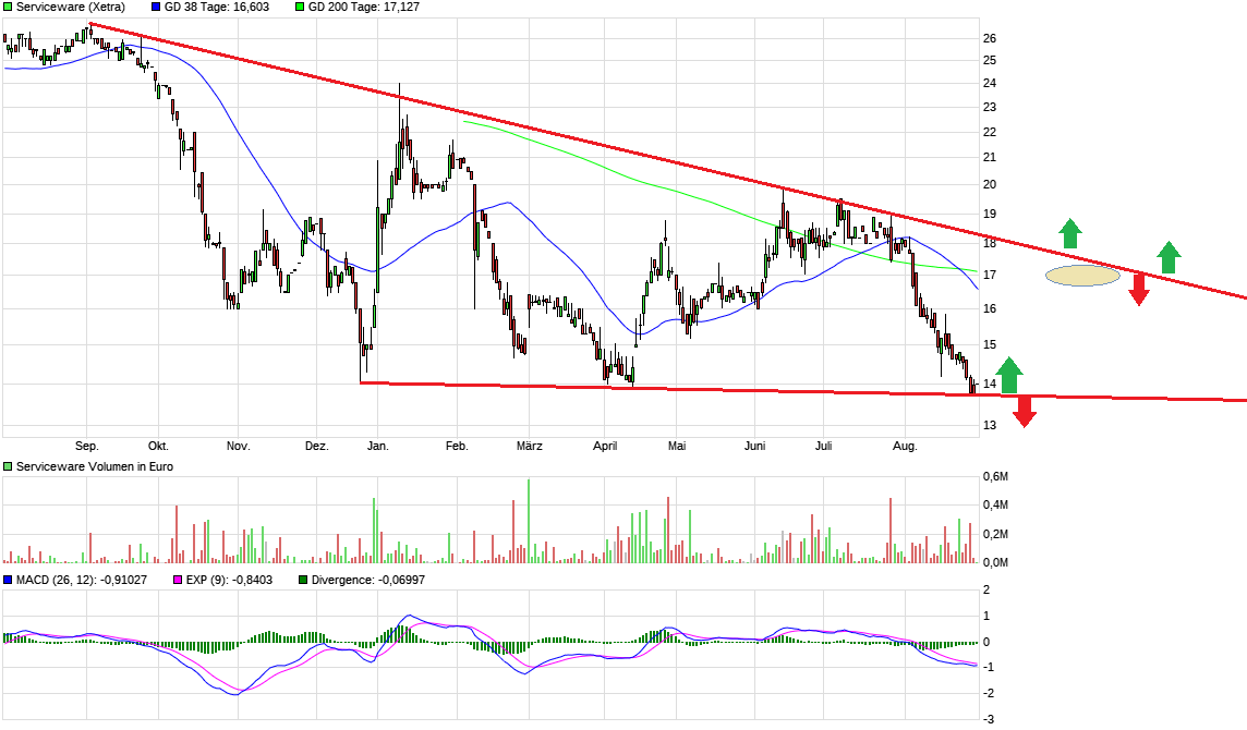 Serviceware SE 1131131