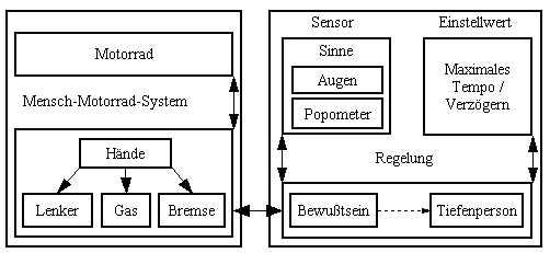 Shlomo's Sentimentdepot 1010830