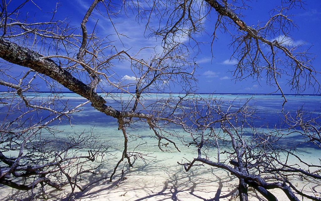 1046.DAX-Tipp-Spiel, Mittwoch 27.05.09 234848