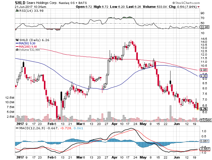 Der USA Bären-Thread 997070