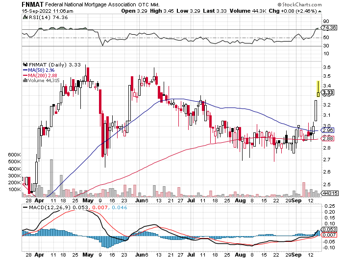 Fannie Mae - Chance auf Verdreifachung bis Juli 1333203