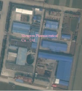 Ab hier geht ´s nach oben - Sunwin - Stevia 748818