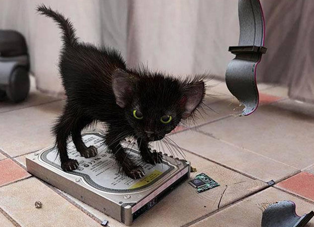 Thompson Creek Metals (Blue Pearl Mng) 77739