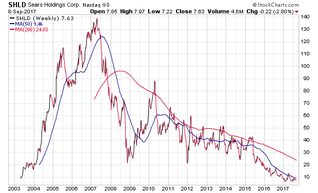 Der USA Bären-Thread 1011509