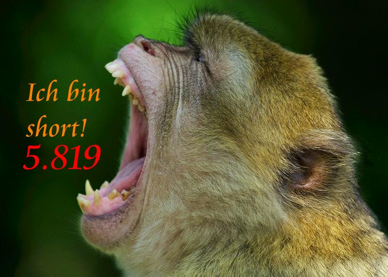 371.DAX Tipp-Spiel, Freitag, 22.09.06, 17.45 Uhr 58264