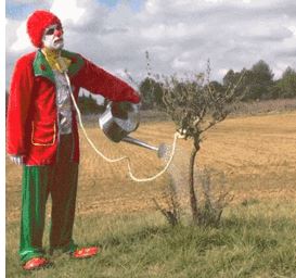 Tesla - Autos, Laster, Speicher und Solardächer 1036035