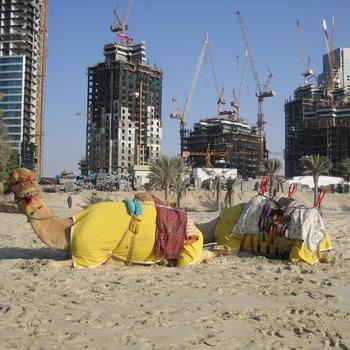 Der USA Bären-Thread 267835