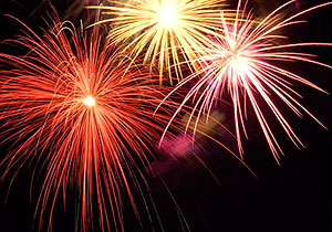 leonardo venture 80818