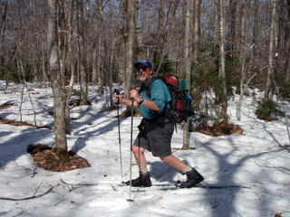 Der USA Bären-Thread 294421