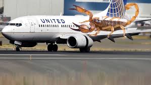 Der USA Bären-Thread 984052