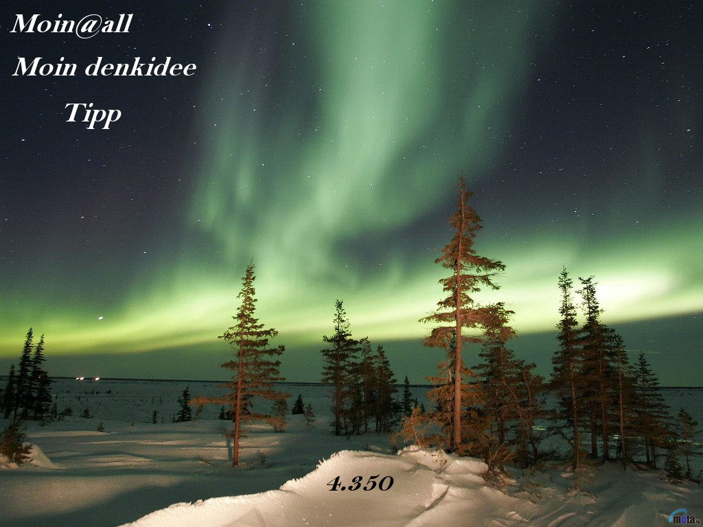 932.DAX Tipp-Spiel *Montag* 08.12.08, 17.45 Uhr 204173