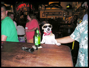 Thompson Creek Metals (Blue Pearl Mng) 107776