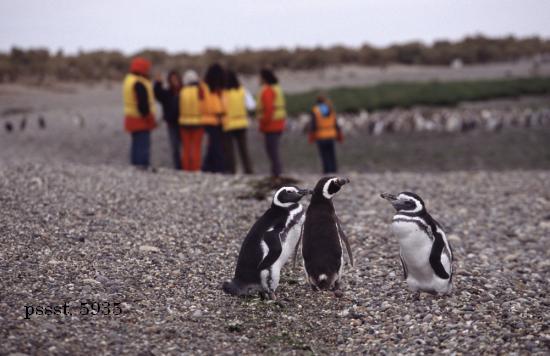 1.290.DAX Tipp-Spiel, Mittwoch, 12.05.10 319534