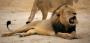 YAHOO steigt und steigt und steigt 20771833