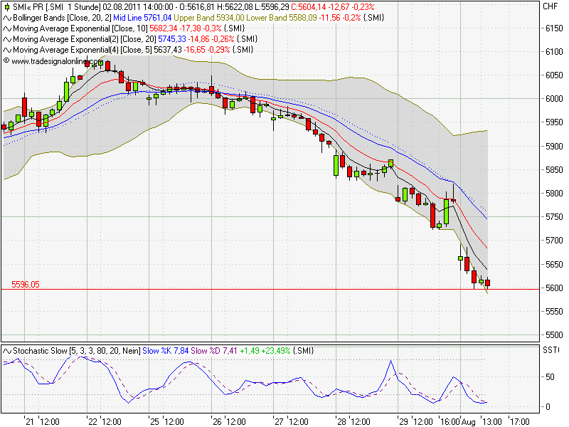 Bear Zocks - daily 426220