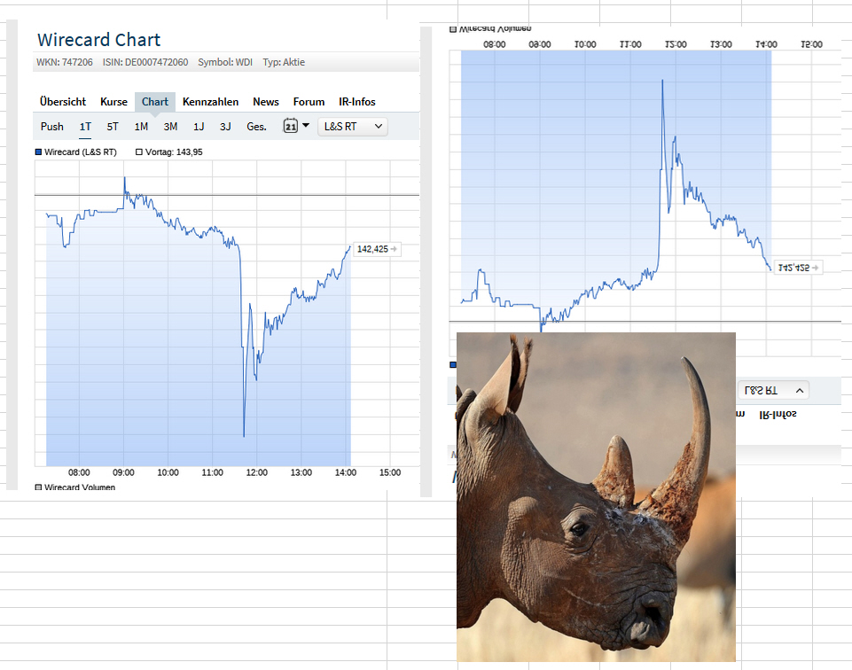 Wirecard 2014 - 2025 1159782