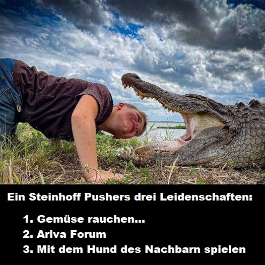 Steinhoff International Holdings N.V. 1245185