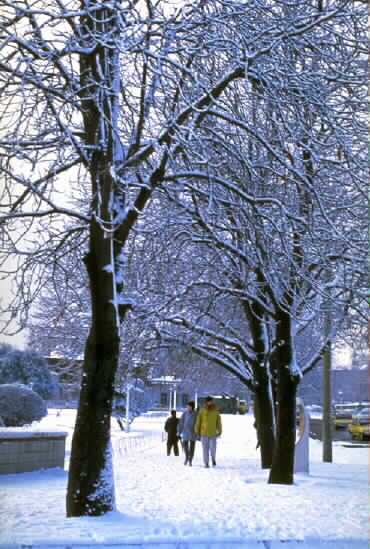 Conergy, Premium Aktien im Prügeln 205886