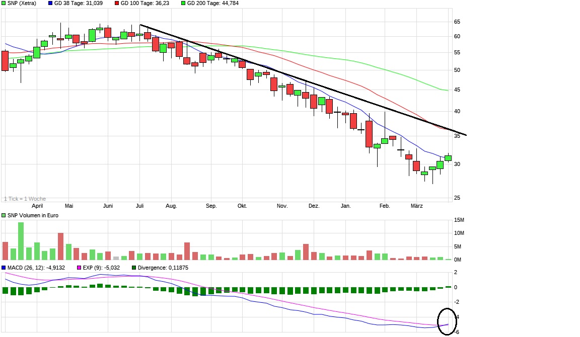 SNP auf dem Weg zu einer software company 1306991