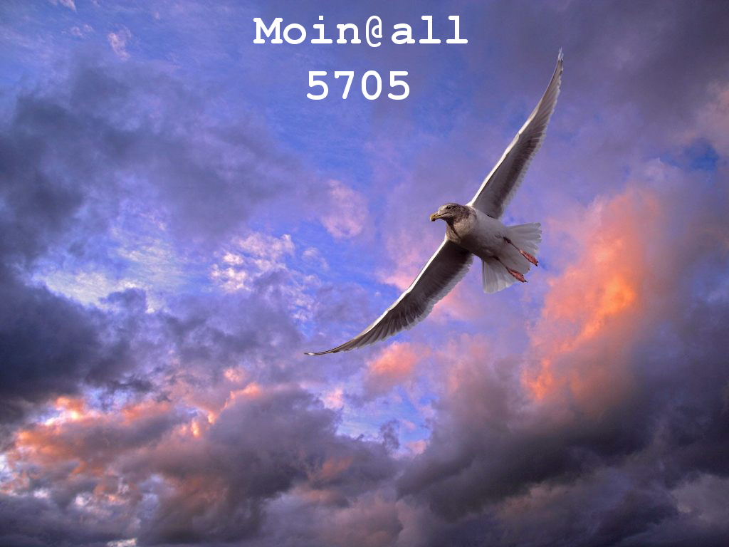 1.233.DAX Tipp-Spiel, Donnerstag, 18.02.10 300410