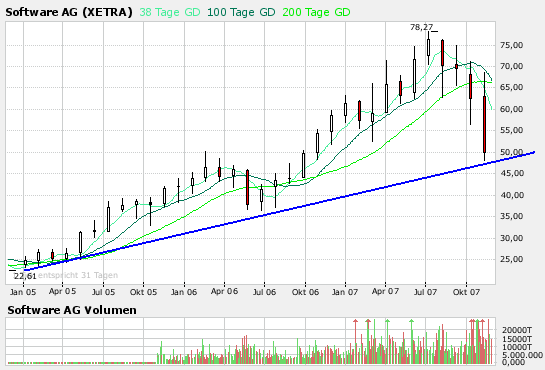 Software, Cash Cows und das ÖL 133242