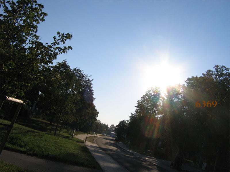 856.DAX-Tipp-Spiel **Freitag** 22.08.08-17.45 Uhr 181377