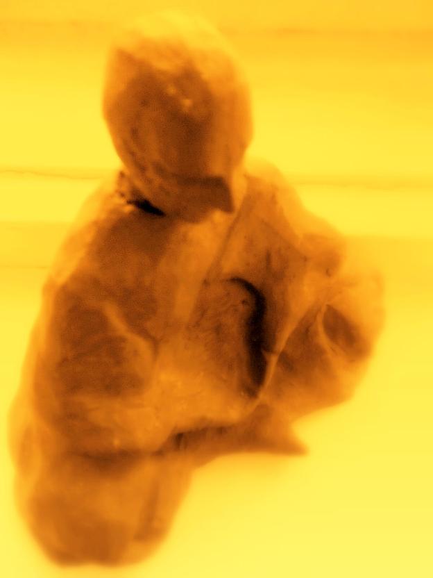 Yukon Nevada Goldmines: bald positive News? 282676