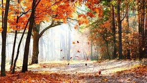 WMI Holdings ! Gibt es eine Alternative ? 871907