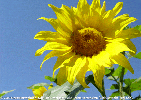 831.DAX-Tippspiel , Freitag, 18.07.2008, 17:45 175311