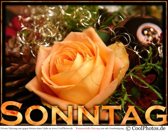 654.DAX Tipp-Spiel, Freitag, 02.11.07 129337