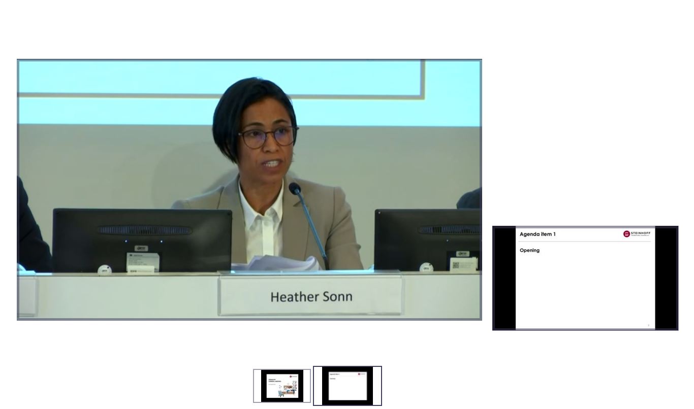 Steinhoff International Holdings N.V. 1131344