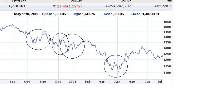 Der USA Bären-Thread 144258